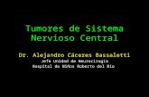 Tumores de Sistema Nervioso Central  Dr. Alejandro Cáceres Bassaletti Jefe Unidad de Neurocirugía
