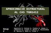 APROXIMACIÓ ESTRUCTURAL  AL CAS TGN1412