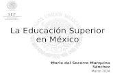 La Educación Superior en México