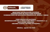 MINISTERIO DE EDUCACIÓN NACIONAL VICEMINISTERIO DE EDUCACIÓN SUPERIOR