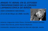 ANGIO-TC RENAL EN EL ESTUDIO PREOPERATORIO DE LA CIRUGÍA LAPAROSCÓPICA DE RIÑÓN.
