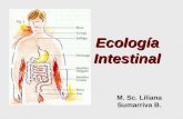 Ecología Intestinal