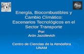 Energía, Biocombustibles y Cambio Climático: Escenarios Tecnológicos en el Sector Transporte