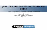¿Por qué México No es Parte del BRIC? Hacia una Mayor Competitividad Económica
