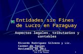 Entidades sin Fines de Lucro en Paraguay