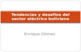 Tendencias y desafíos del sector eléctrico boliviano