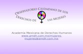 Academia Mexicana de Derechos Humanos amdh.mx/mujeres mujeres@amdh.mx