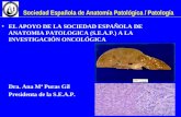 Sociedad Española de Anatomía Patológica / Patología