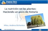 La nutrición en las plantas: Haciendo un poco de historia