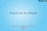 Prácticas en Maple