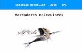 Ecología Molecular – 2014 – TP1