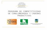 PROGRAMA DE COMPETITIVIDAD DE CONGLOMERADOS Y CADENAS PRODUCTIVAS