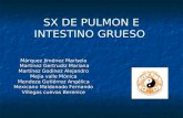 SX DE PULMON E INTESTINO GRUESO
