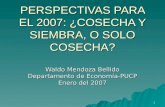 PERSPECTIVAS PARA EL 2007: ¿COSECHA Y SIEMBRA, O SOLO COSECHA?
