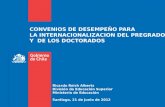 CONVENIOS DE DESEMPEÑO PARA LA INTERNACIONALIZACION DEL PREGRADO Y  DE LOS DOCTORADOS
