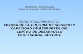 MINISTERIO DE EDUCACIÓN Centro de Desarrollo Profesional Docente