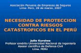 Asociación Peruana de Empresas de Seguros Lima- Perú, 28 de marzo, 2007