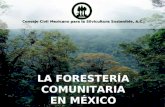 Consejo Civil Mexicano para la Silvicultura Sostenible, A.C.