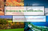 Dinámica de los ecosistemas