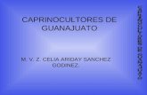 CAPRINOCULTORES DE GUANAJUATO
