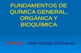 FUNDAMENTOS DE QUÍMICA GENERAL, ORGÁNICA Y BIOQUÍMICA
