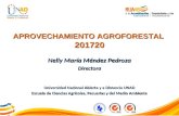 Nelly María Méndez Pedroza Directora Universidad Nacional Abierta y a Distancia UNAD