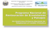 Programa Nacional de Restauración de Ecosistemas y Paisajes