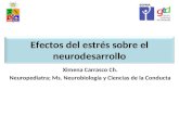 Efectos del estrés sobre el  neurodesarrollo