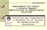 Servicios que Comprometen  y  Prometen  en el  Proceso  de  Rehabilitación Vocacional