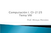 Computación I. CI-2125 Tema VIII
