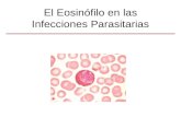 El Eosinófilo en las Infecciones Parasitarias