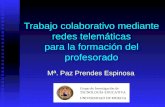 Trabajo colaborativo mediante redes telemáticas para la formación del profesorado