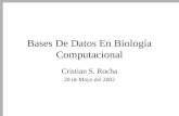 Bases De Datos En Biología Computacional