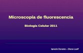 Microscopía de fluorescencia Biología Celular 2011