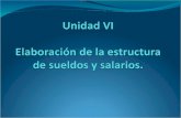 Unidad VI  Elaboración  de la estructura de sueldos y salarios .