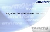 Régimen de Inversión en México