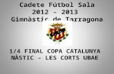 Cadete Fútbol Sala 2012 – 2013  Gimnàstic de Tarragona