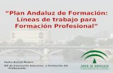 Pedro Benzal Molero.  DG de Innovación Educativa  y Formación del Profesorado.