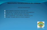 INSTITUTO TECNOLÓGICO DE CONKAL INTEGRANTES AZCORRA BASTO ROGELIO CAUICH   CAUICH  JULIO ALFREDO