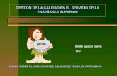 GESTIÓN DE LA CALIDAD EN EL SERVICIO DE LA ENSEÑANZA SUPERIOR
