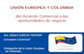 Sra.  Miriam GARCIA FERRER Consejero Comercial Delegación de la Unión Europea   en Colombia