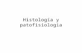 Histología y patofisiologia