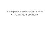 Les  exports agricoles  et la  crise  en  Am érique Centrale