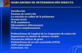 MARCADORES DE DETERMINACIÓN DIRECTA Introducción Enzimas de restricción