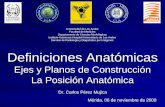 Definiciones Anatómicas  Ejes y Planos de Construcción La Posición Anatómica