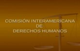 COMISIÓN INTERAMERICANA DE  DERECHOS HUMANOS
