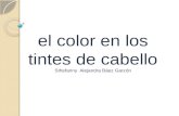 el color en los tintes de cabello Sthefanny  Alejandra Báez Garzón