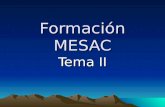 Formación MESAC