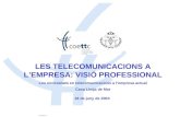 LES TELECOMUNICACIONS A L’EMPRESA: VISIÓ PROFESSIONAL