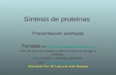 Síntesis de proteinas